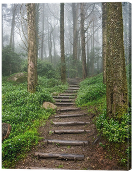 Go To Image - Essence Of The Christian Journey: Faith, Hope, (400x400), Png Download