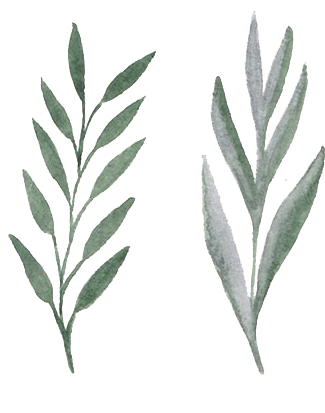 Watercolor Aquarelle Flowers Png - Aquarelle Flower Png (337x416), Png Download