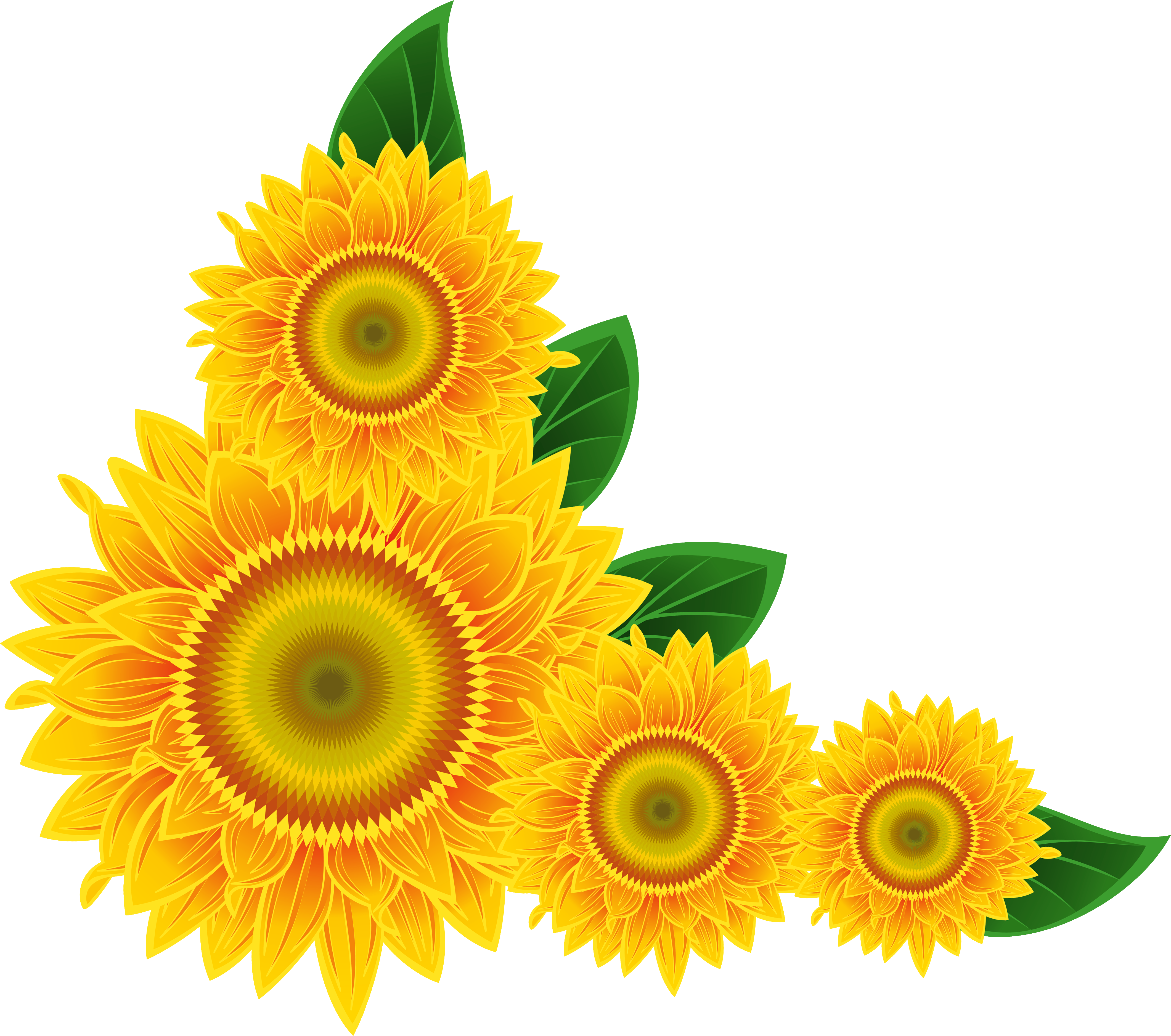 Free Icons Png - Sunflower Corner Border Png (1600x1402), Png Download