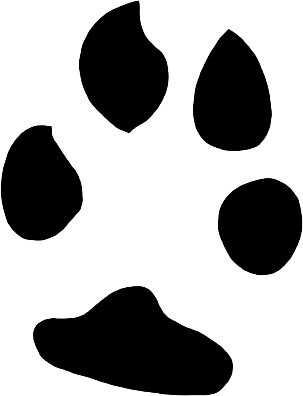 Rabbit Vector Foot Print - Rabbit Footprint Png (1122x1358), Png Download