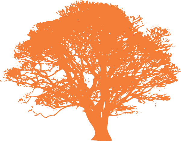 Orange Tree Clip Art (600x467), Png Download