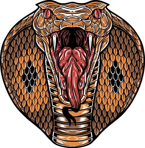 Bleed Area May Not Be Visible - King Cobra Mouth Open (600x613), Png Download