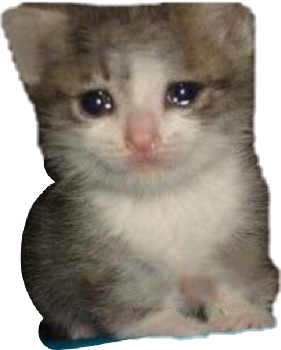 Report Abuse - Sad Cat Dank Memes (553x690), Png Download