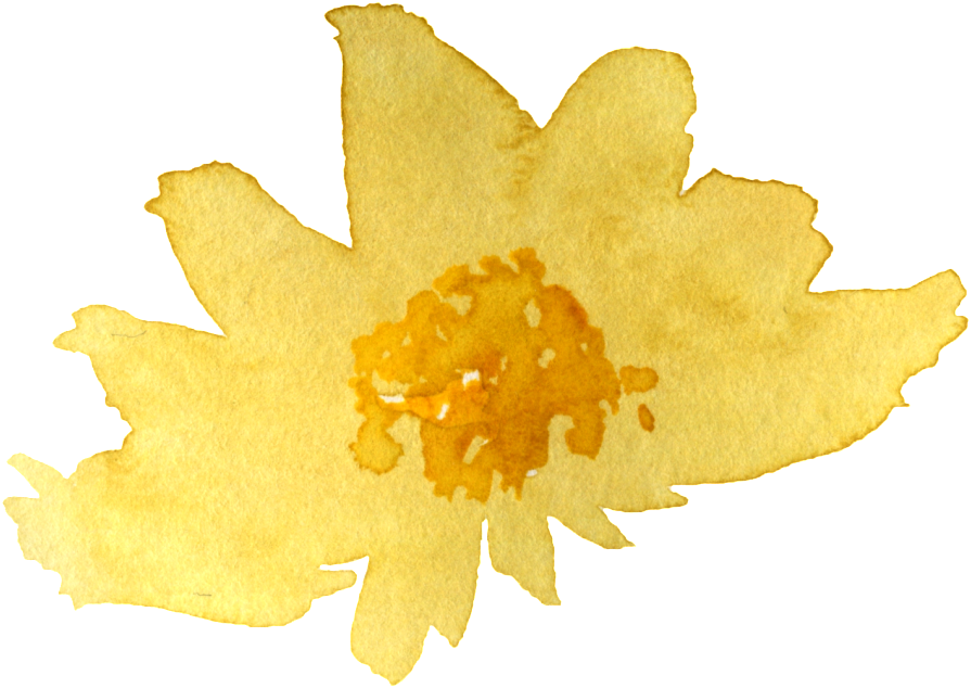 Watercolor Yellow Chrysanthemum Png - Leaf (1024x744), Png Download