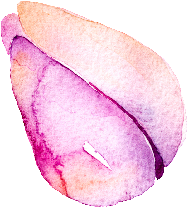 Purple Flower Hand Painted Watercolor Cartoon Transparent - Watercolor Painting (1024x1024), Png Download