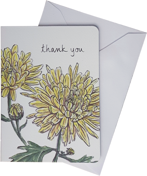 Chrysanthemum Mini Card Set Of - Chrysanthemum (654x750), Png Download