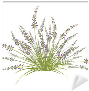 Lavender (400x400), Png Download