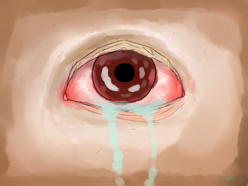 Log In To Report Abuse - Newgrounds (800x600), Png Download