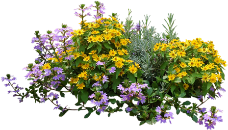 - - Pepper Agro Coir Planter Coco Fiber Flower Pots 10 (500x277), Png Download