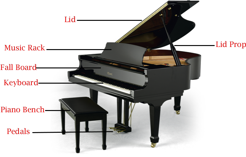 Grand Pianos Have A Few Major Piano Parts - Baby Grand Piano Png (800x514), Png Download