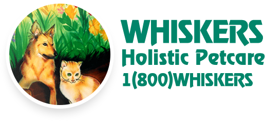 Shop Now - New York City (516x235), Png Download