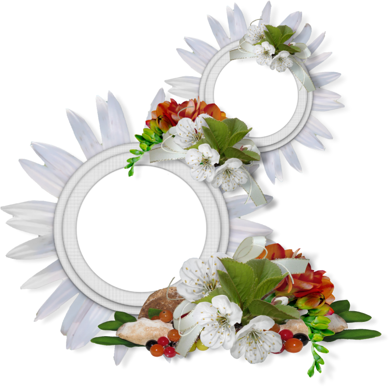 Image Du Blog Zezete2 - Рамки Ромашки Круглые (800x795), Png Download