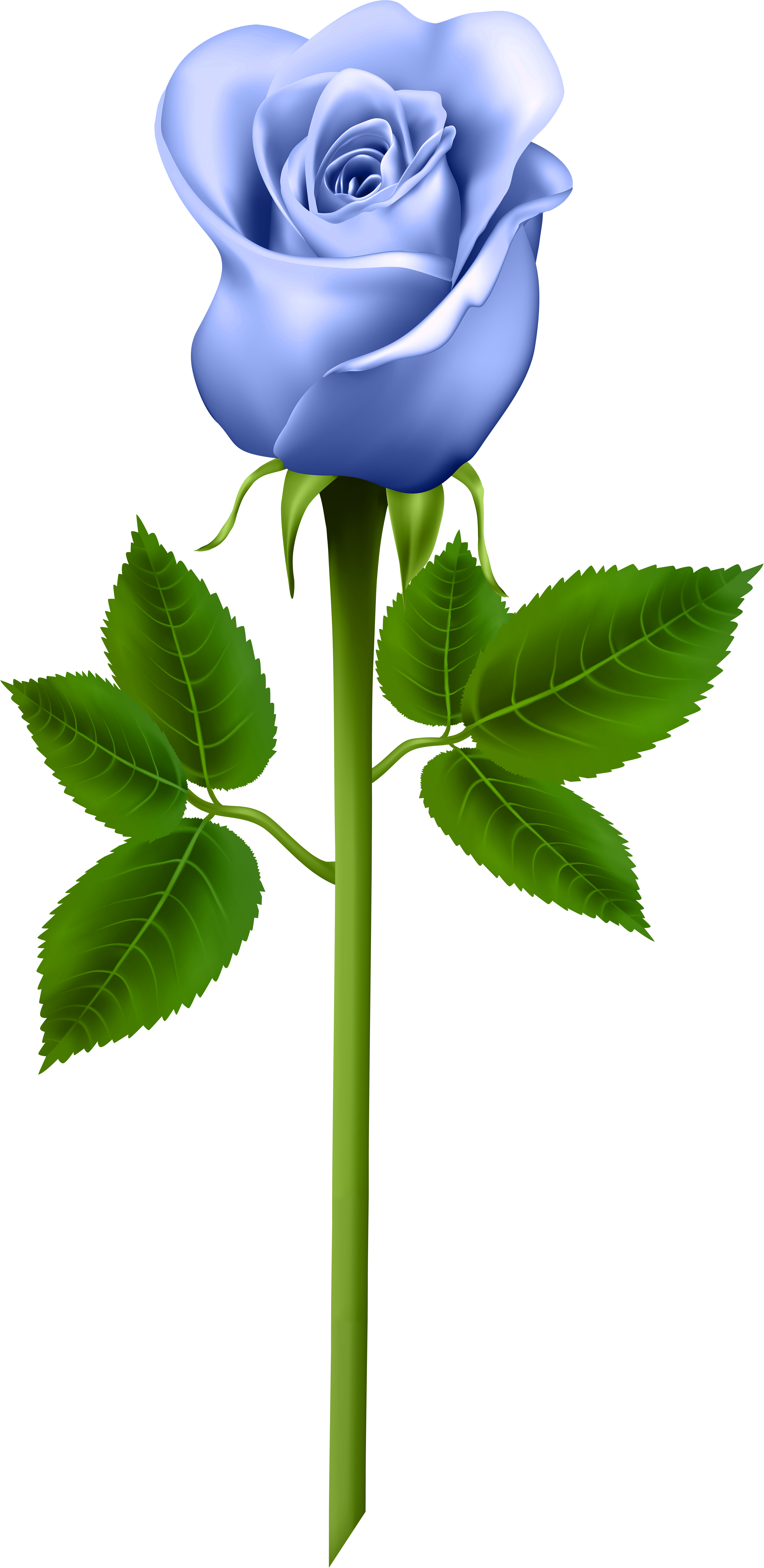 Purple Rose Clipart (4129x8000), Png Download