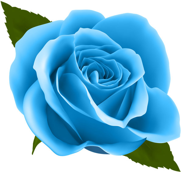 Png Free Blue Roses Clipart - Purple Rose Png (600x573), Png Download