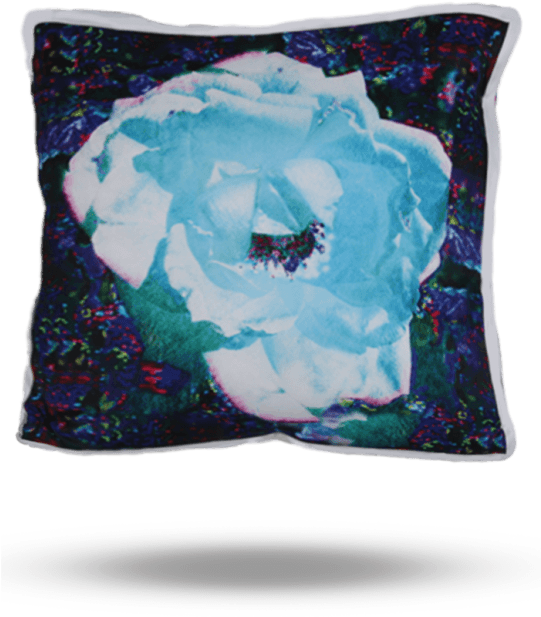 25 Mm 01 - Cushion (540x739), Png Download
