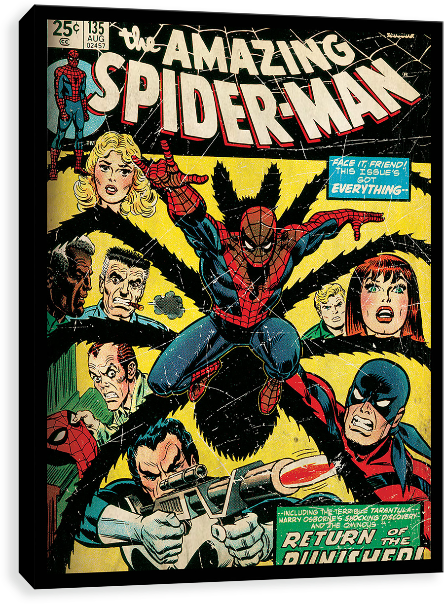 Spider-man Punisher - Amazing Spider Man 135 (1280x1280), Png Download