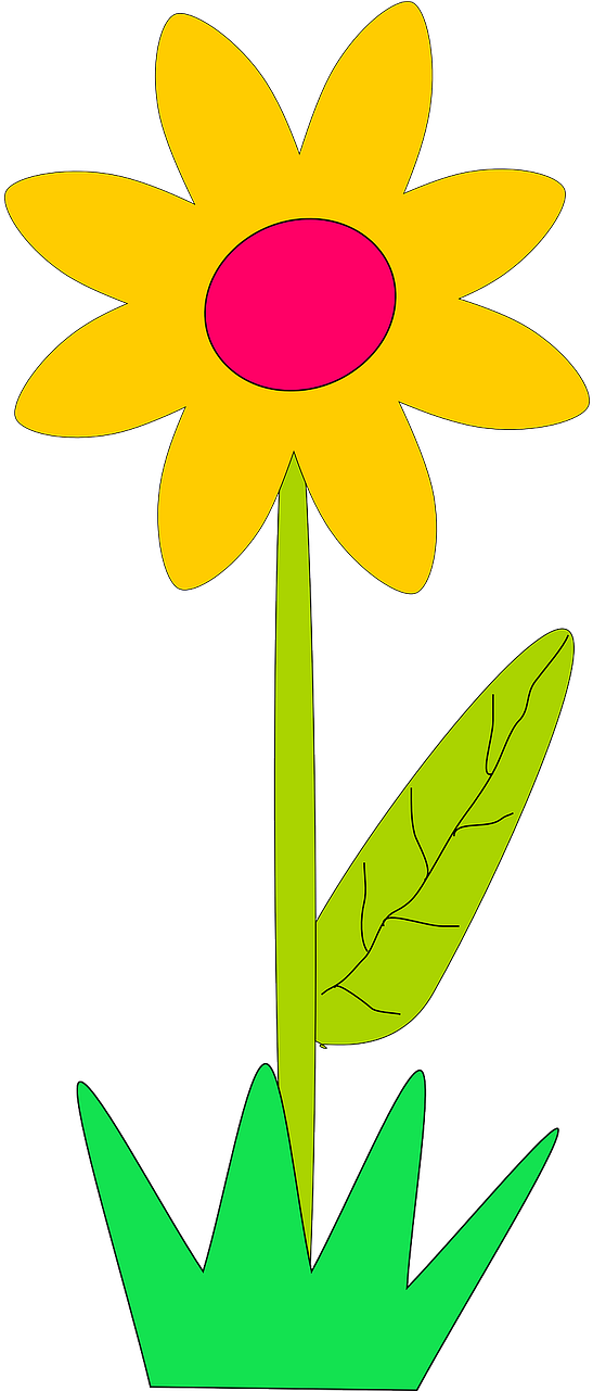 Vector - Cartoon Flower Gif Png (640x1280), Png Download
