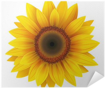 Sunflower Vector Png (400x400), Png Download