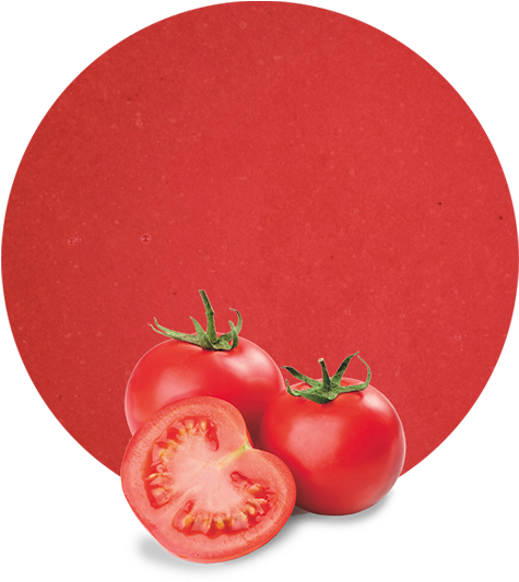 Copper, Potassium, Vitamin K And They Are A Great Source - Rutgers Tomato (red) 4 Plants - Great For Canning (536x595), Png Download