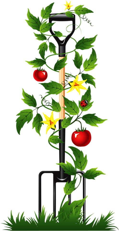 Garden - Automatic Watering System (507x1024), Png Download