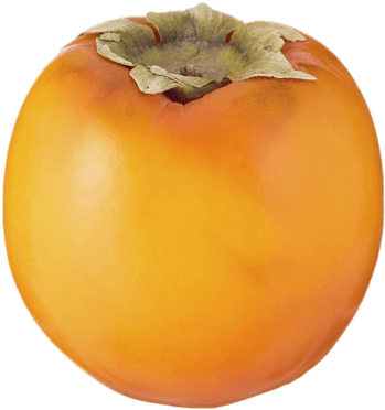 Whole Kaki Fruit - Fruta De Arbol Png (400x400), Png Download