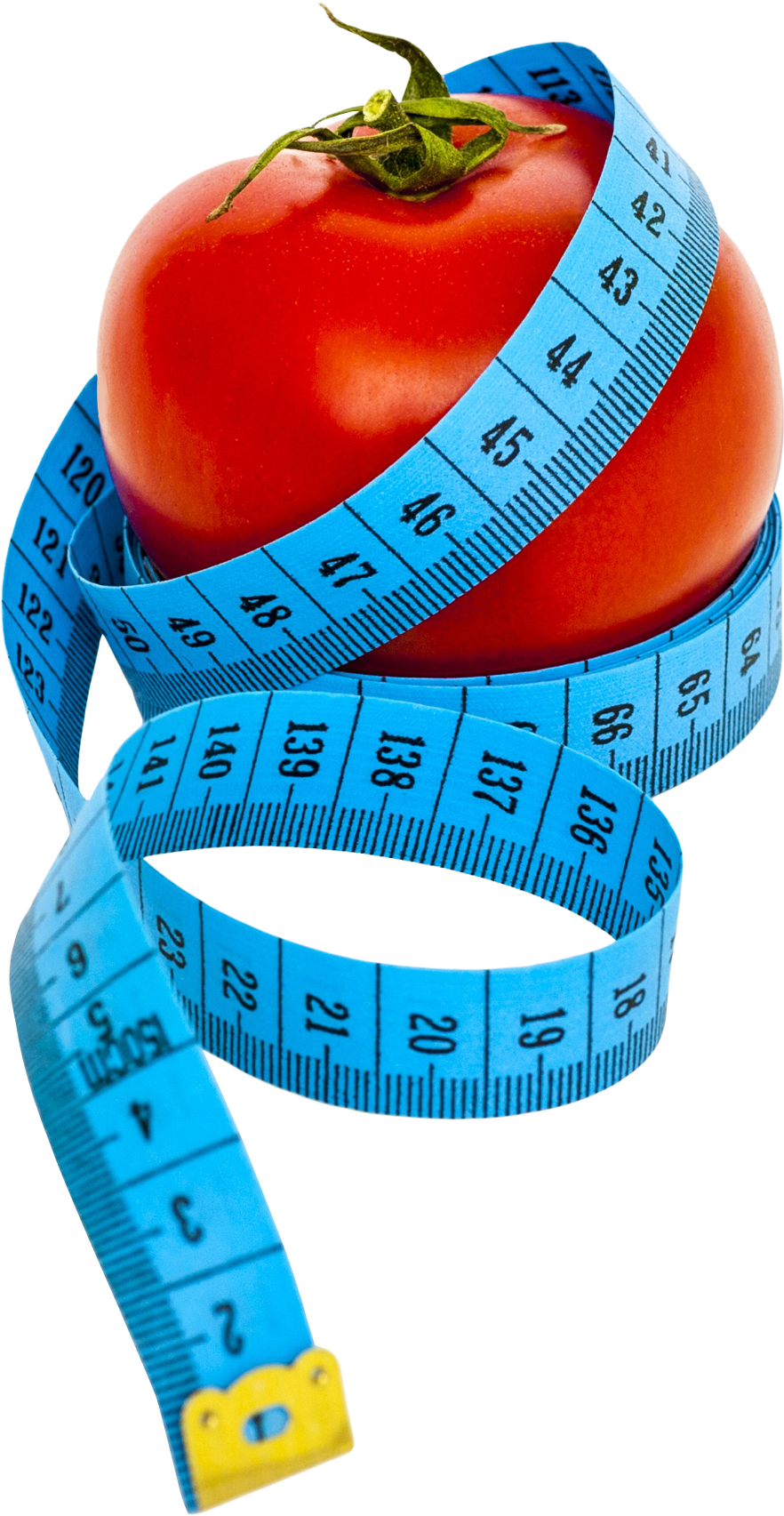 Lose 10 Pounds In 10 Days: Guaranteed Tips For Simple (2000x1837), Png Download