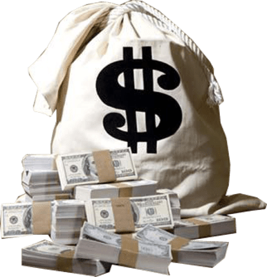 Bag Of Money (386x400), Png Download