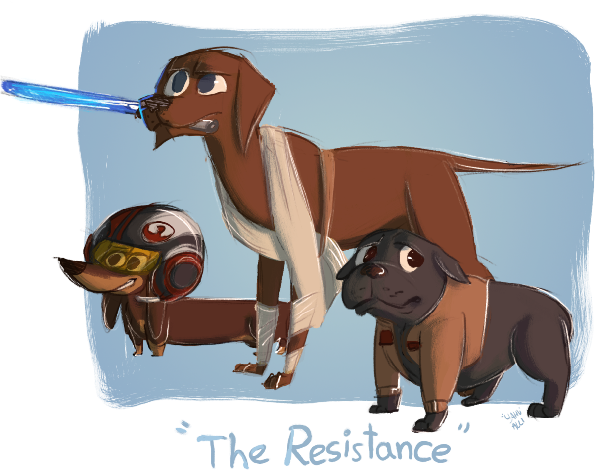 Dog Star Wars Corgi Puppies Dogs Finn Bulldog English (1280x991), Png Download
