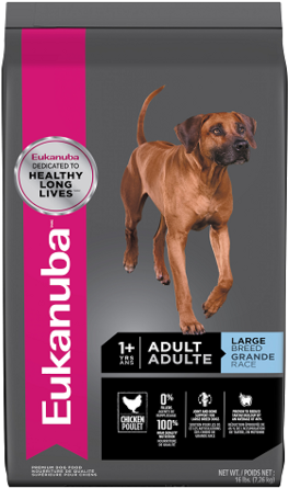 Eukanuba Adult Large Breed - Eukanuba Large Breed (376x447), Png Download