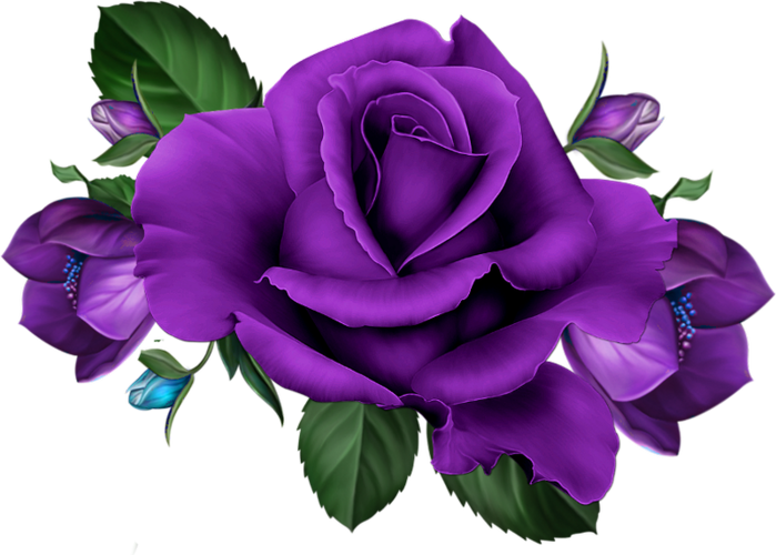 Skrap Olinka - Purple Rose Png Hd (699x500), Png Download