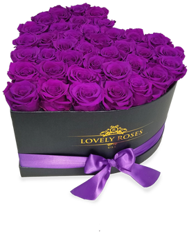 Lovely Roses Carefully Selected And Treated - Garden Roses (498x498), Png Download