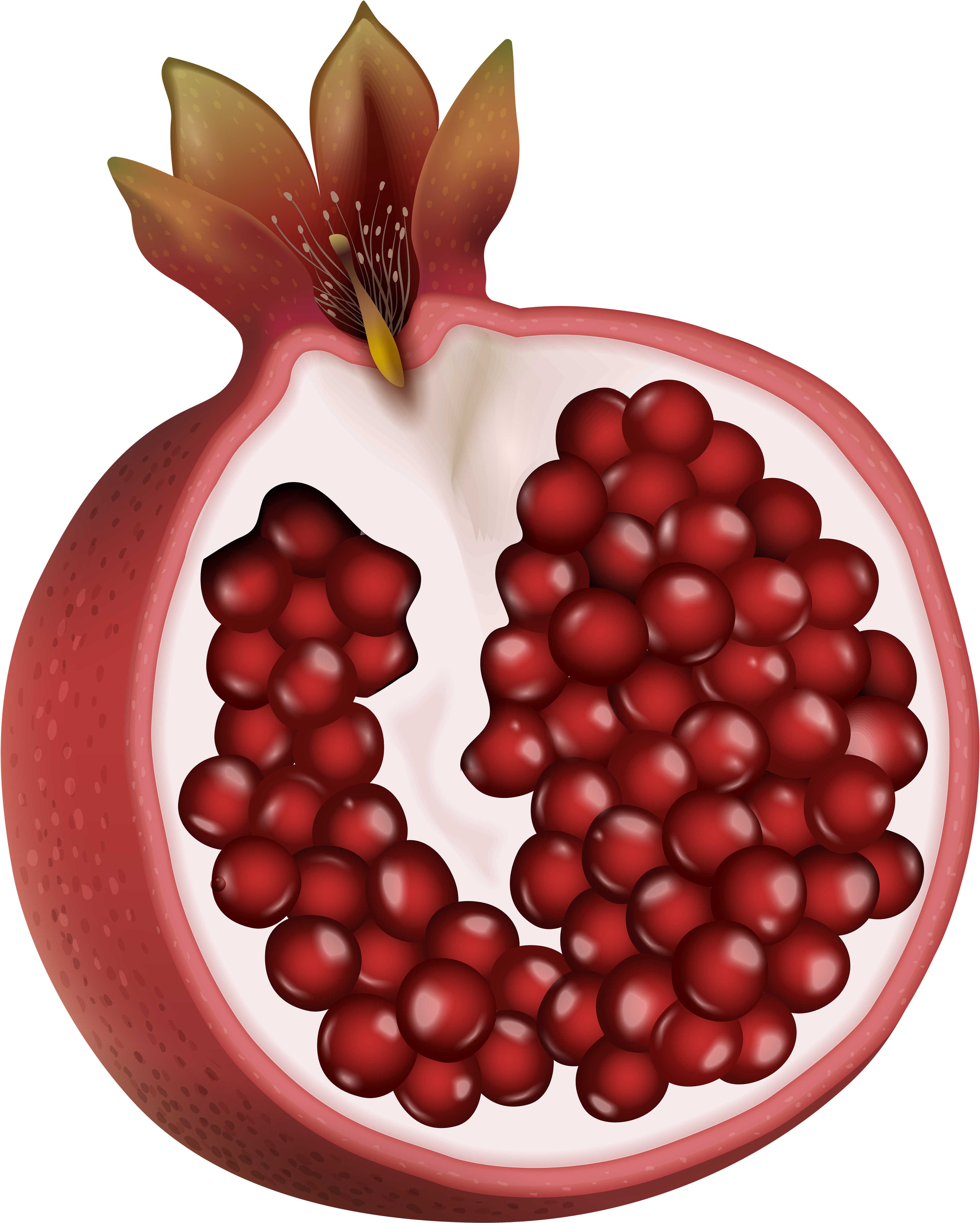 Pomegranate Clipart Png (4057x5000), Png Download