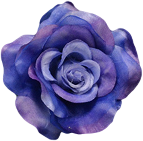 Navy Blue - Garden Roses (500x500), Png Download