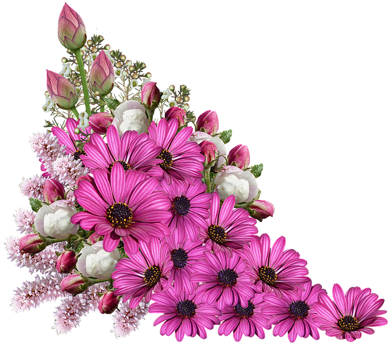 A Bouquet Of Purple Roses, F - Decoration Flowers (859x720), Png Download