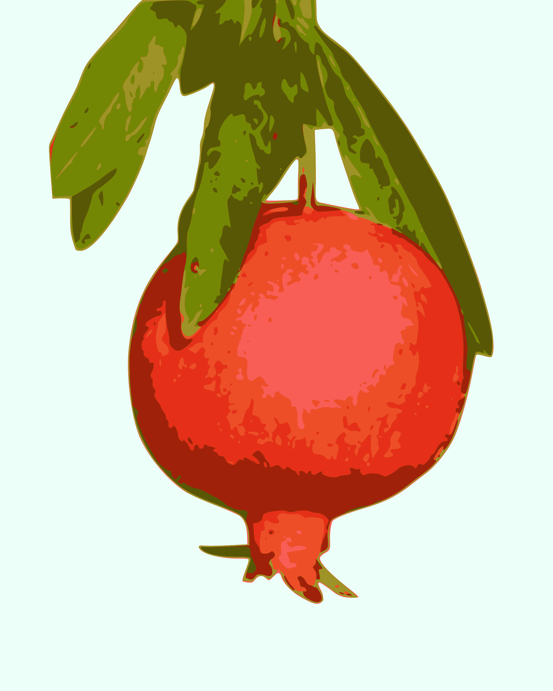 Pomegranate Png (1920x2400), Png Download