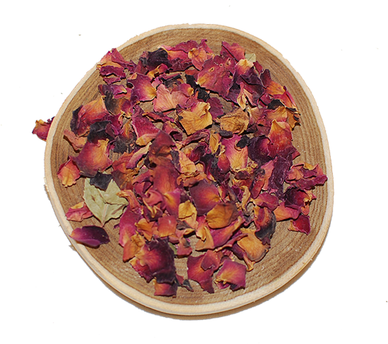 Red Onion (600x501), Png Download