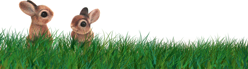 Publicat De Eu Ciresica La - Grass Border Easter Transparent (800x222), Png Download