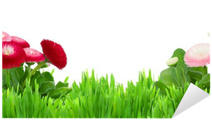Green Grass With Daisy Flowers Border Sticker • Pixers® - Modèle D Herbe Verte Avec Des Fleurs (400x400), Png Download