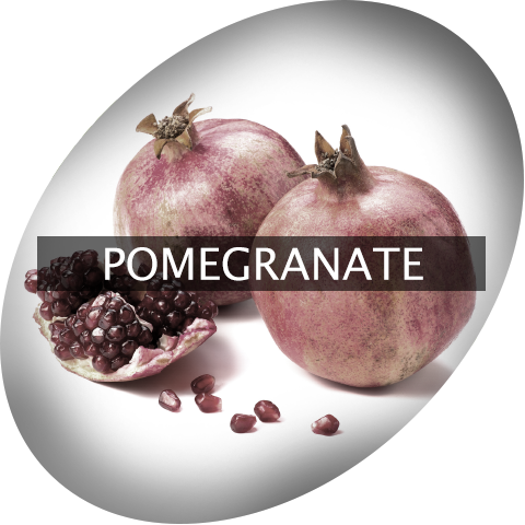 Landingimage Igrow Pomegranate - Scent Fill Pomegranate Verbena Plug In Refill (480x480), Png Download