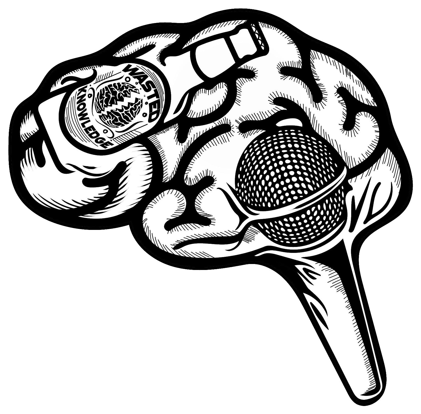Wasted Knowledge Podcast (2000x2000), Png Download