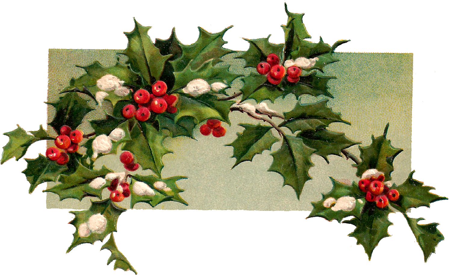 Digital Christmas Holly Download - Christmas Day (1587x1007), Png Download