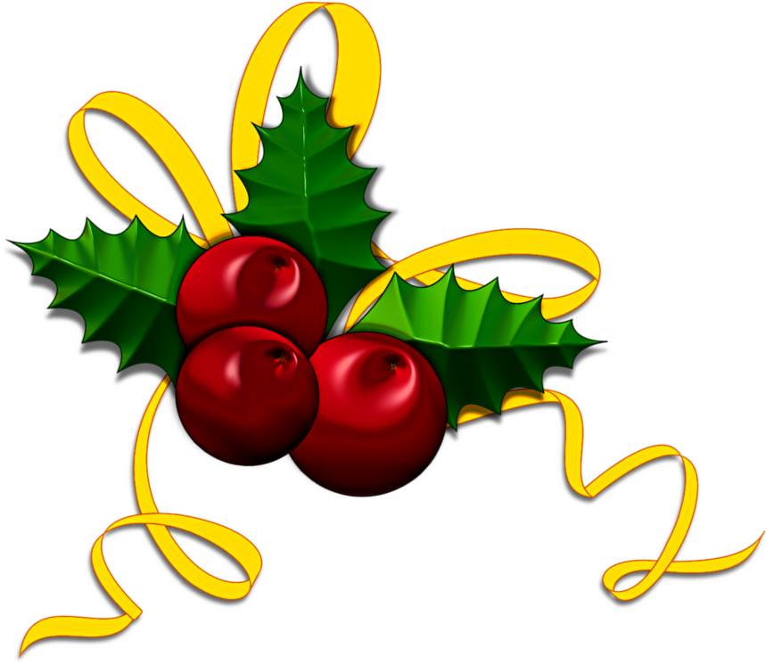 Christmas Holly - Illustration (951x795), Png Download