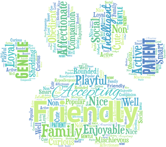 Goldendoodle Word Art - Art (750x664), Png Download