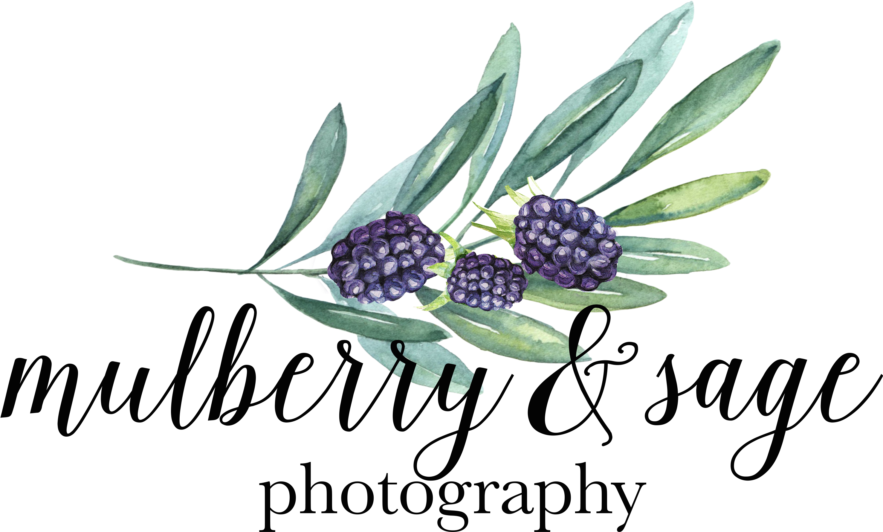 Mulberrysage Final Kimberly Paige Designs (4000x4000), Png Download
