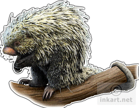 Brazilian Porcupine Decal - Brazilian Porcupine Large Mug (580x450), Png Download