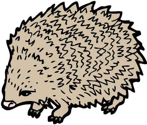 Hedgehog Drawing Clip Art - Hedgehog Drawing (500x500), Png Download