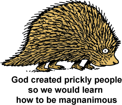 Porcupine - Domesticated Hedgehog (400x343), Png Download
