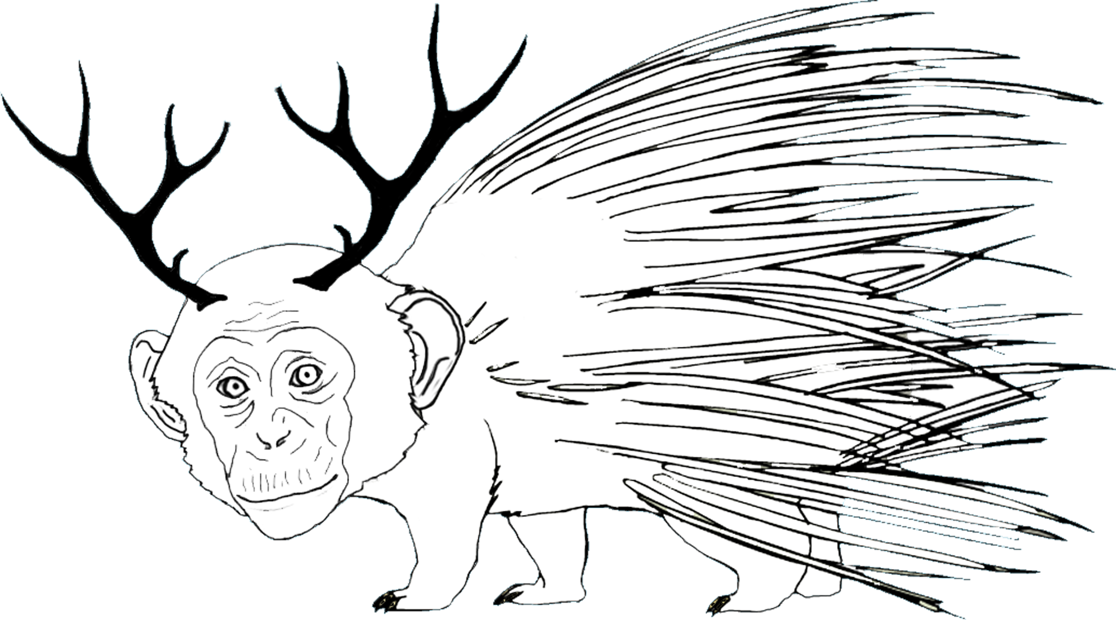Monkey Deer Porcupine - Porcupine Monkey Deer (3600x2002), Png Download