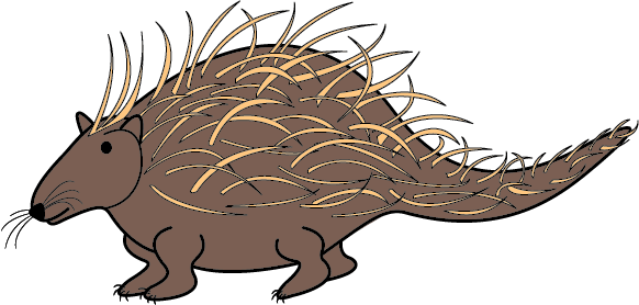 Porcupine - Illustration (582x278), Png Download