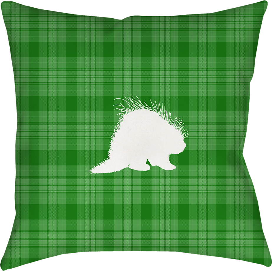 Green Porcupine Pillow - Throw Pillow (1000x1000), Png Download
